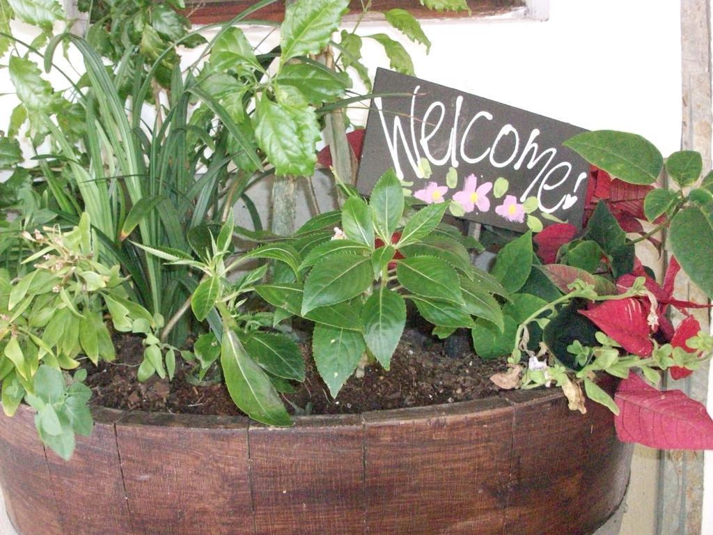 Bread And Barrel Guesthouse Bellville Cape Town Bagian luar foto